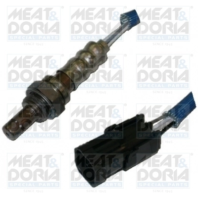 Oxygen Sensor